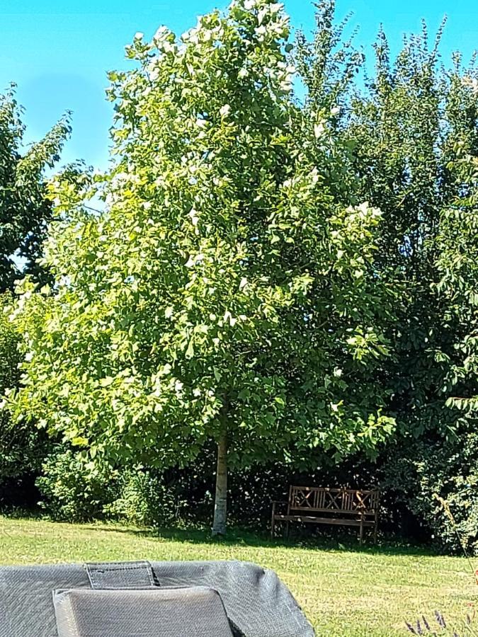 Gite D'Anne Et Ulysse Sept-Freres Екстериор снимка